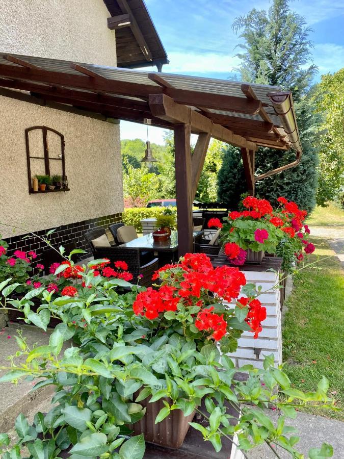 Apartman U Babicky Česká Skalice Buitenkant foto